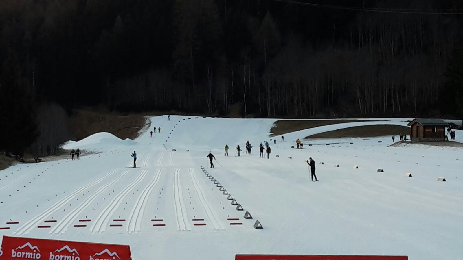 Tribbia nei giovani femminile e Comensoli fra gli under18 maschi nuovi campioni regionale sprint di sci nordico
